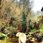 Rural La Tahona De Besnes 2* 阿里纳斯·德·卡伯瑞勒斯