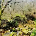 Rural La Tahona De Besnes 2* 阿里纳斯·德·卡伯瑞勒斯