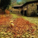 Rural La Tahona De Besnes 阿里纳斯·德·卡伯瑞勒斯