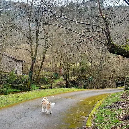 Rural La Tahona De Besnes Otel